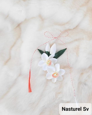 Clama martisor: Narcise