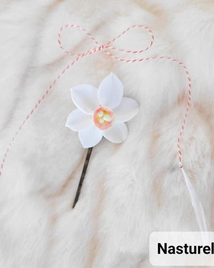 Agrafa martisor: Narcisa