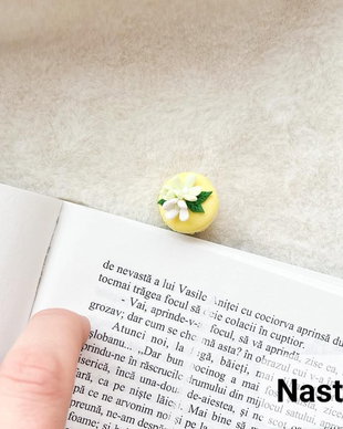 Semn de carte: Macarons