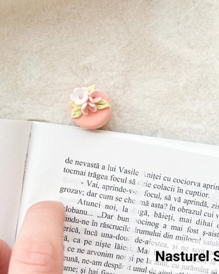 Semn de carte: Macarons