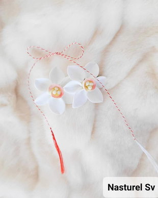 Clama martisor: Narcise