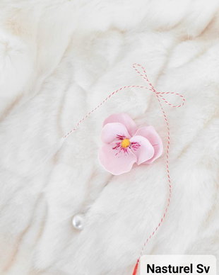 Pin martisor: Panseluta