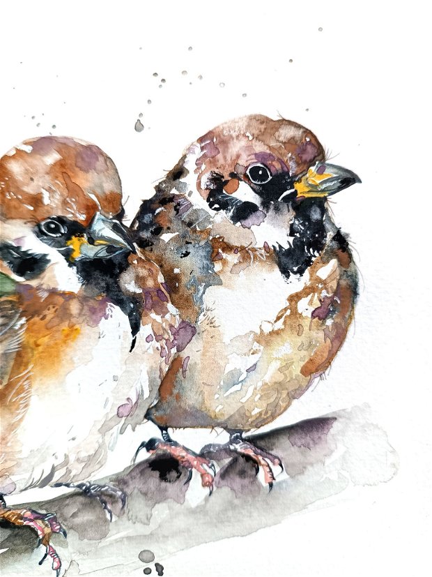 Vrăbiuțe de Câmp (Passer montanus) - Tablou, Pictura Originala în Acuarela - Birds Collection