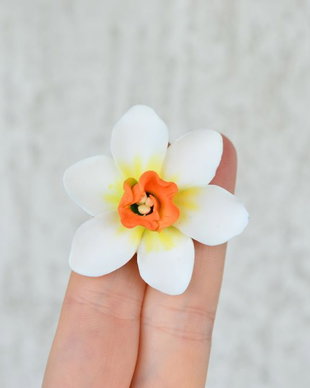 Narcisa alba- brosa martisor
