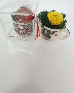 Martisor licheni si flori