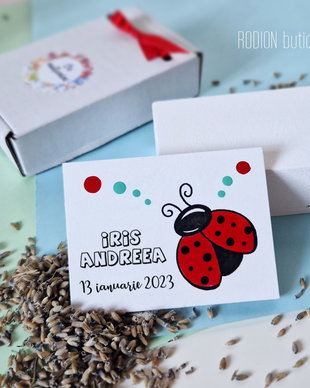 Marturii cu magnet buburuza personalizate pictate manual