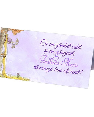 Plicuri dar botez fete printesa
