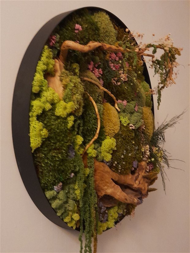 Primăvară/Tablou vegetal natural/Bonsai înflorit