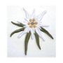 Brosa martisor floare de colt