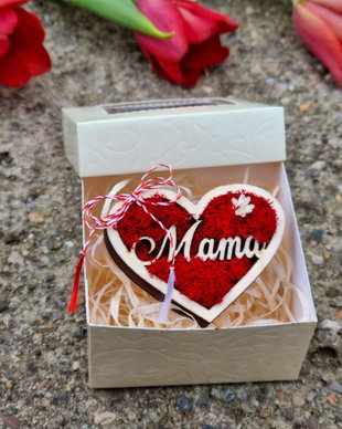 Mărțisor licheni inima Mama