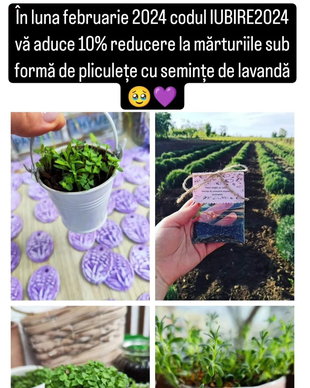 Marturii Pliculete cu seminte de Levantica