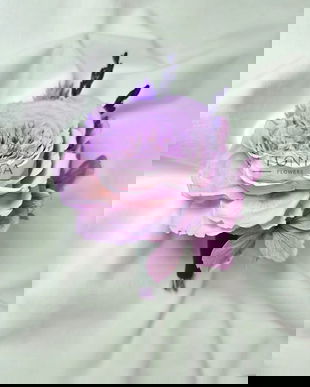 Cocarda trandafir garden