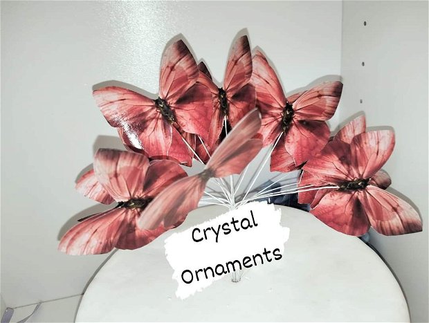 Set fluturi decorativi