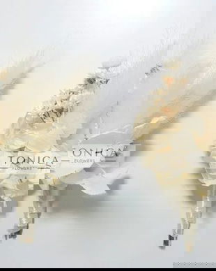 Cocarda flori stabilizate