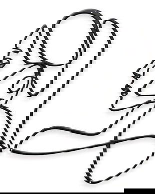 Chip de femeie-decoratiune metalica pentru perete