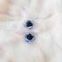 Cercei: Anemone