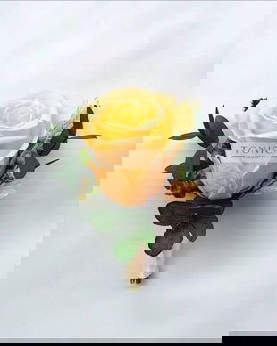 Cocarda trandafir mediu