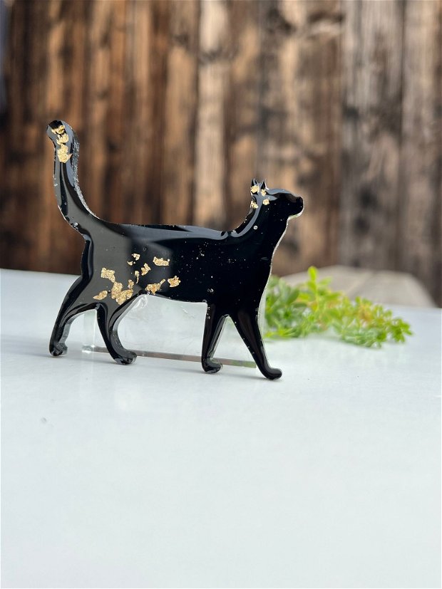Broșa black cat