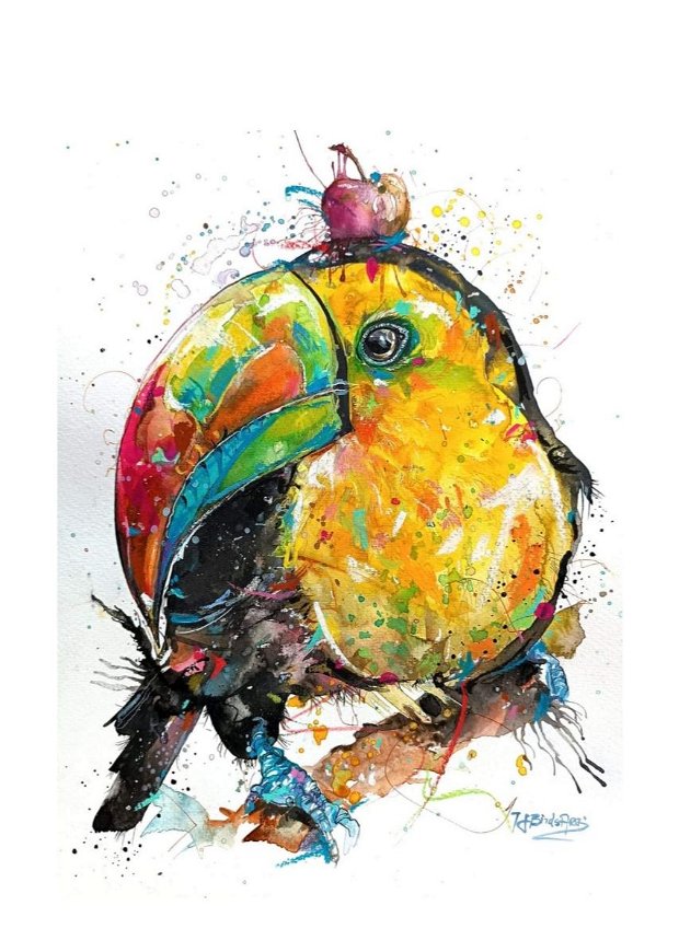 Tukan BIRD - Tablou, Pictură Originală în Acuarelă - Birds Collection