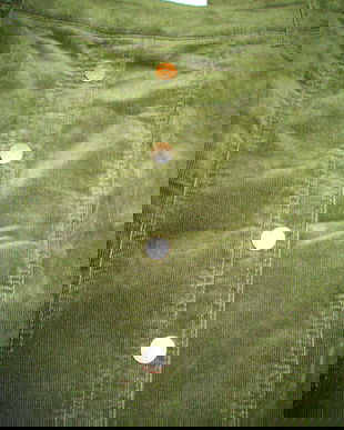 fusta catifea Country Rose super