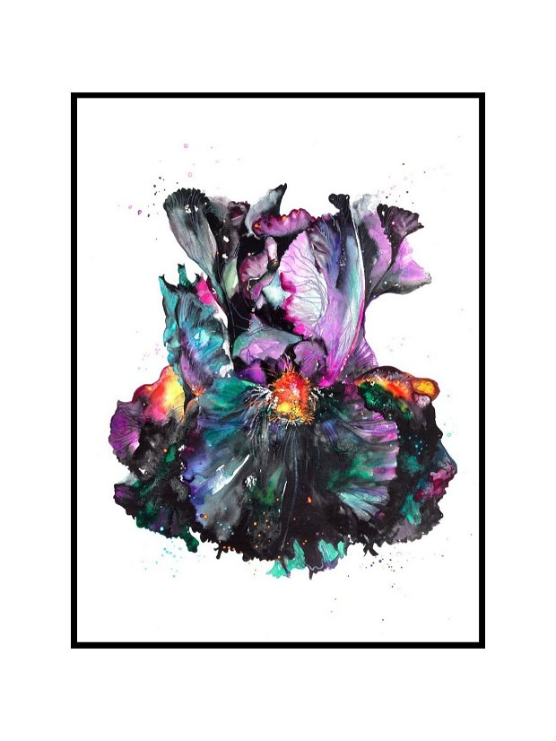 Iris Germanica Black Dragon - Pure Watercolor -Tablou, Pictura Originală în Acuarelă - Nature And Colors Collection