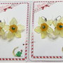 CERCEI- NARCISE GALBENE-MARTISOR