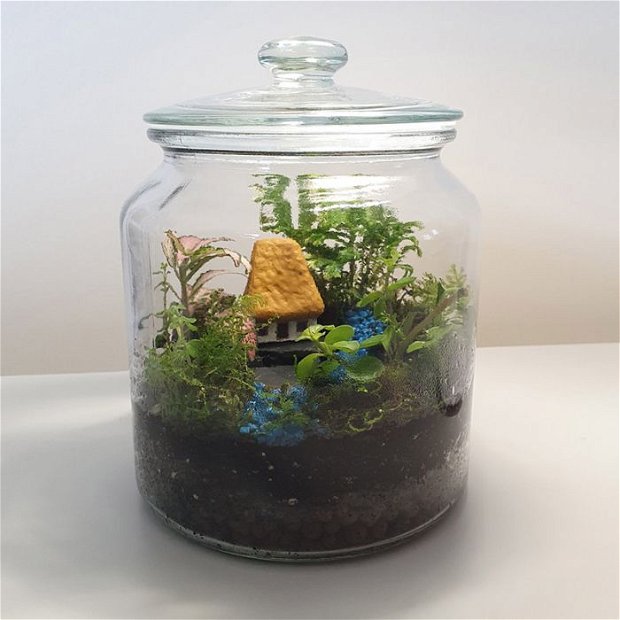 Terariu in vas de sticla inchis cu plante naturale