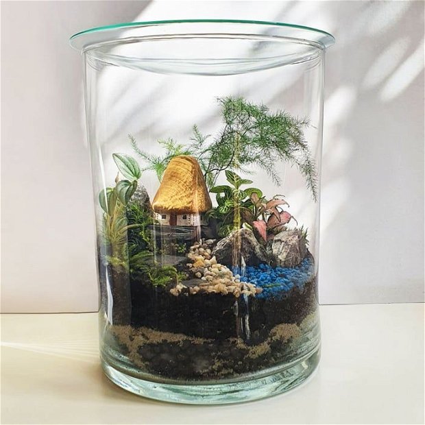 Terariu in vas de sticla inchis cu plante naturale