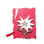 Floare de colt martisor