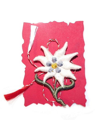 Floare de colt martisor