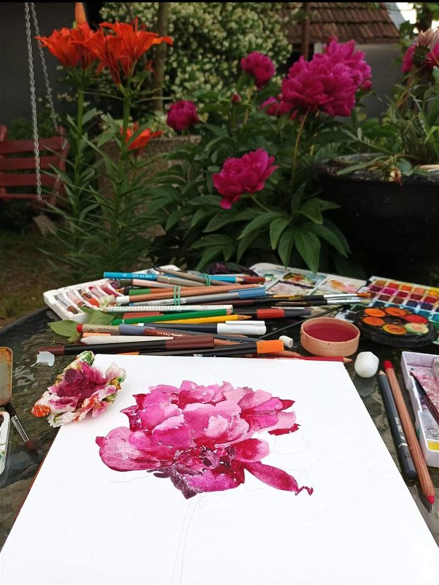 Bujor (Paeonia) - Pure Watercolor Art - Pictura Originală în Acuarelă - Nature And Colors Collection