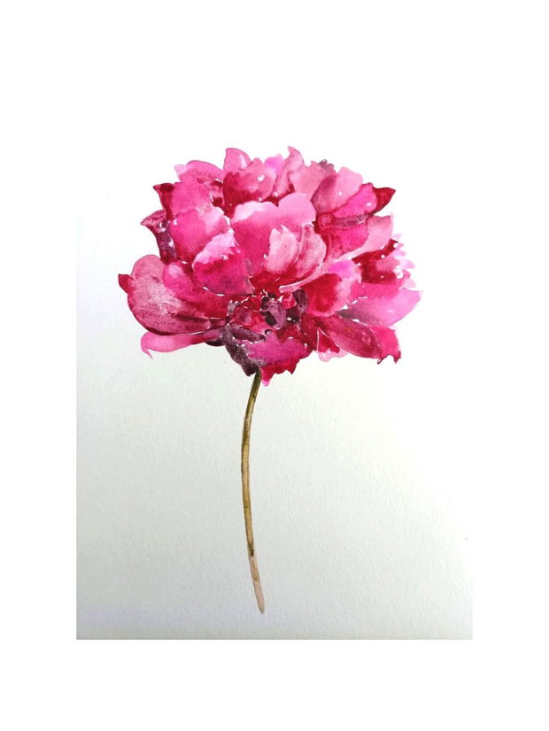 Bujor (Paeonia) - Pure Watercolor Art - Pictura Originală în Acuarelă - Nature And Colors Collection