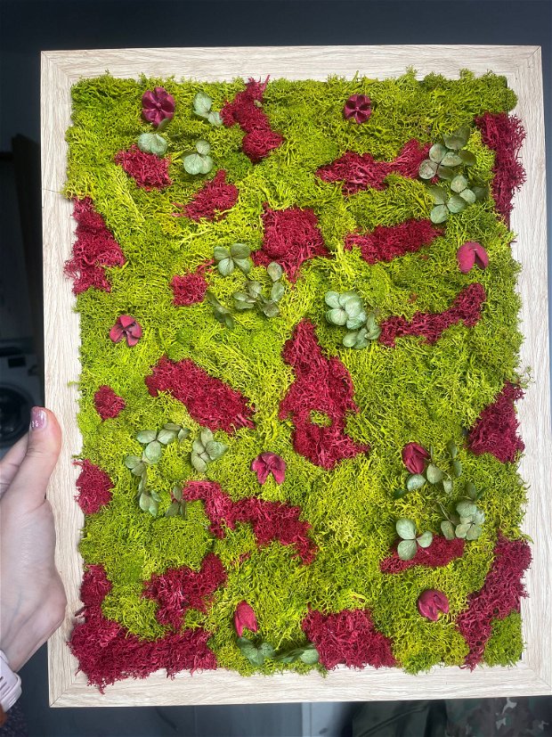 Tablou abstract cu licheni