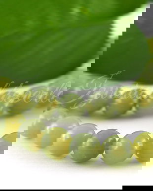 Jad 8mm, cod P02 (1sir)