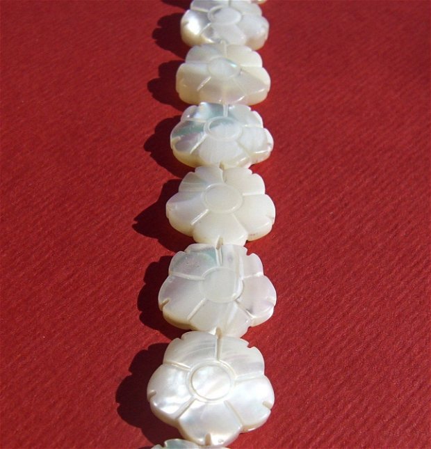 Sidef alb floricica gravata aprox 3.5-4x12 mm