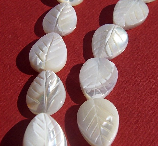 Sidef alb frunza gravata aprox 2.5-3.5x10x14 mm