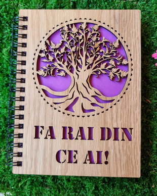 Agenda copcul vietii