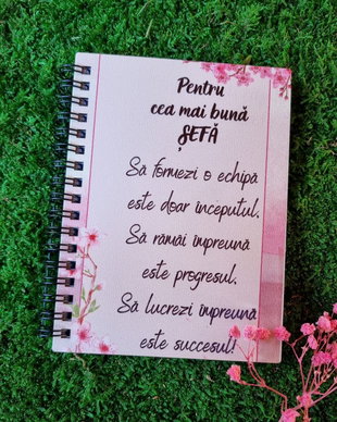 Agenda sefa