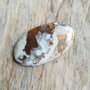 Cabochon jasp crazy horse, 42x25 mm