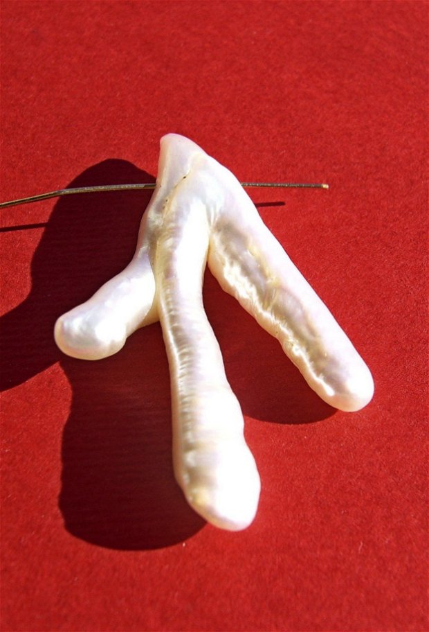 Pandantiv perla de cultura "chicken feet" aprox 15x40.5 mm