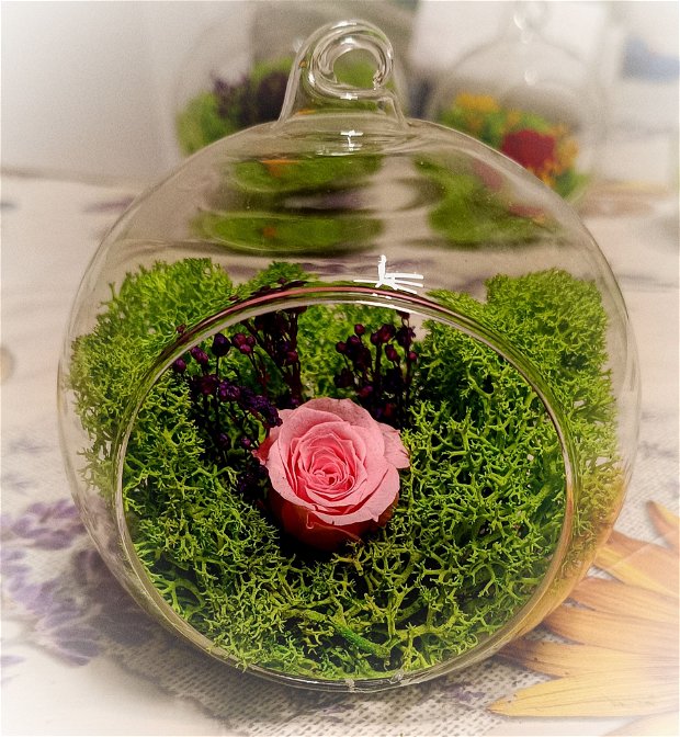 Glob de sticla cu licheni și mini trandafiri
