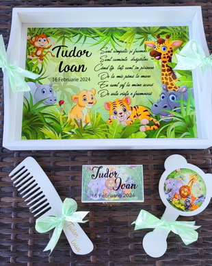 Set tava si accesorii baiat jungla