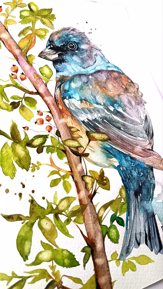 Tablou Cello BIRD - Birds Collection - Pictura Originală în Acuarelă