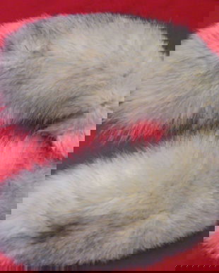 Guler blana de vulpe