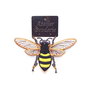 Brosa albina brodata