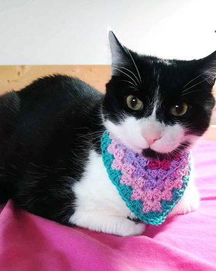 Bandana crosetata