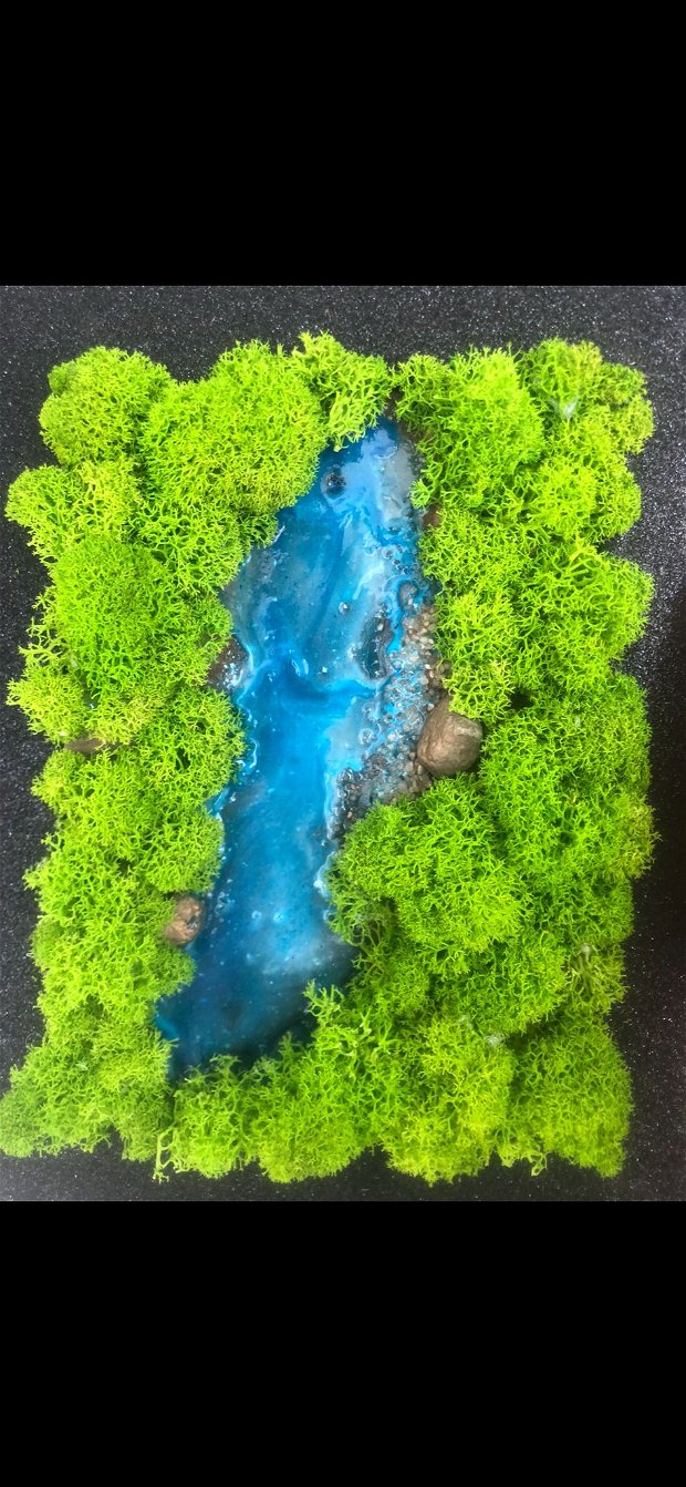 Tablou licheni