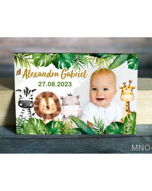 Marturii botez ieftine - Magneti personalizati cu poza - Tematica Safari