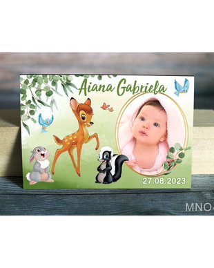 Marturii magnetice botez fetite - Bambi