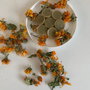 OVULE VAGINALE cu plante anexite/rani/chisturi/inflamatii NOU